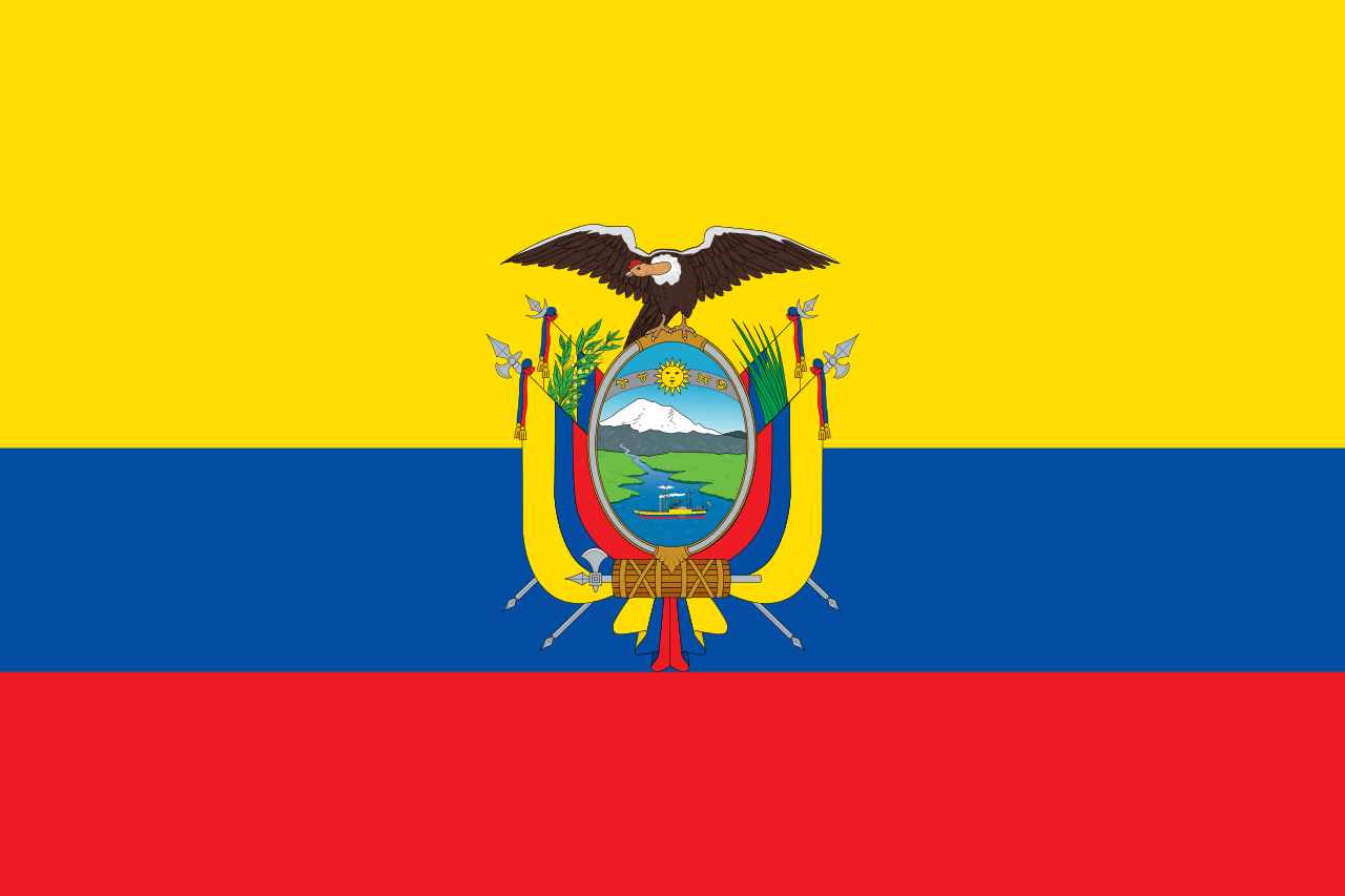 Reportes 2024 Proyecto Prot Geme   Ecuador 